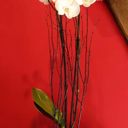 Le Cocon Fleuri : Maison Confortable Avec Jardin - Fr-1-497-181 度假居 *