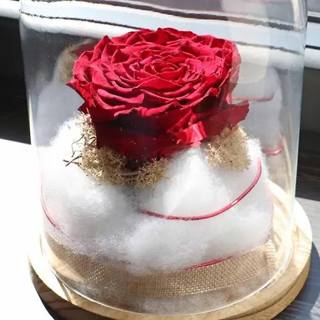 Le Cocon Fleuri : Maison Confortable Avec Jardin - Fr-1-497-181 * Occagnes